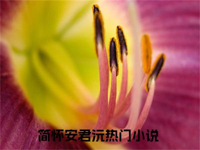 简怀安君沅小说（简怀安君沅）全文免费阅读_（简怀安君沅）小说最新章节列表_笔趣阁（简怀安君沅）