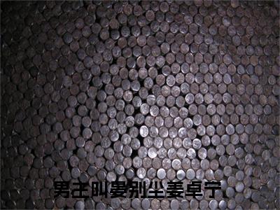 晏别尘姜卓宁（晏别尘姜卓宁）抖音热推小说全集无删减_（晏别尘姜卓宁免费阅读）最新章节列表