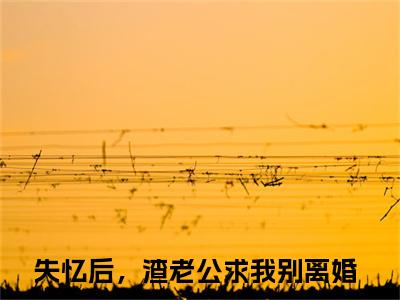 失忆后，渣老公求我别离婚小说（陆寒山乐颜）全文免费阅读_陆寒山乐颜最新章节列表笔趣阁（失忆后，渣老公求我别离婚）