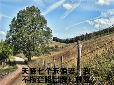 主角为天降七个未婚妻，我不按套路出牌！林玄的小说-天降七个未婚妻，我不按套路出牌！林玄小说全文免费阅读
