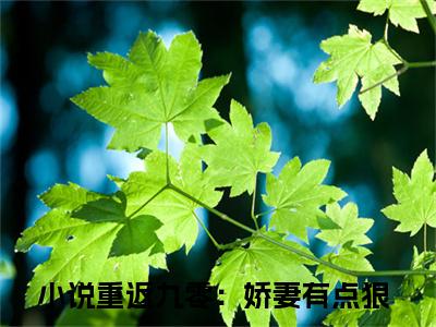 《陶榕聂昭》重返九零：娇妻有点狠在哪免费看-陶榕聂昭（重返九零：娇妻有点狠）已完结全集大结局