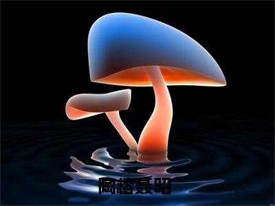 陶榕聂昭免费阅读（重返九零：娇妻有点狠）全文免费阅读无弹窗大结局_陶榕聂昭免费阅读最新章节列表