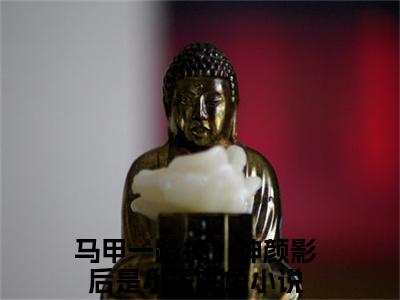 叶笙裴初原（马甲一路掉，神颜影后是小号）小说免费阅读无弹窗大结局_（马甲一路掉，神颜影后是小号阅读无弹窗）最新章节列表