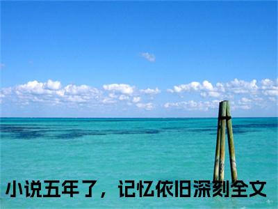 小说沈言孟舟全文免费阅读无弹窗大结局_（五年了，记忆依旧深刻）全文在线阅读