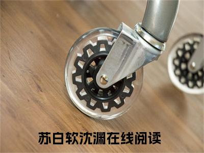 苏白软沈渊（苏白软沈渊）全文免费阅读无弹窗大结局_（苏白软沈渊无弹窗）最新章节免费阅读_笔趣阁