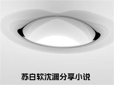 苏白软沈渊（苏白软沈渊无弹窗）全文免费阅读无弹窗大结局_（苏白软沈渊全文免费阅读无弹窗）苏白软沈渊无弹窗最新章节列表_笔趣阁