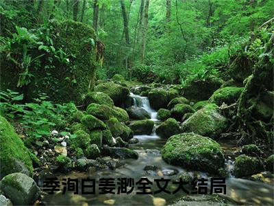 季洵白姜渺全文免费大结局小说-季洵白姜渺全文最新章节阅读