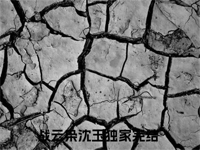 战云枭沈玉小说完整版在线阅读 战云枭沈玉精选小说推荐试读