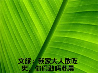 文旅：我家大人敢吃史，你们敢吗苏晨小说全文免费阅读_文旅：我家大人敢吃史，你们敢吗苏晨（文旅：我家大人敢吃史，你们敢吗苏晨）最新章节列表笔趣阁
