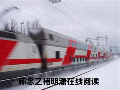 林念之褚明潇全文免费在线阅读_（林念之褚明潇全文免费阅读无弹窗大结局）