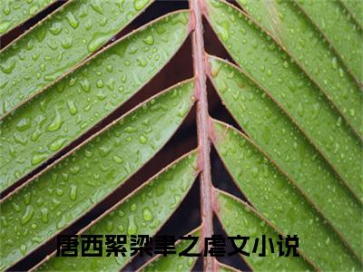 唐西絮梁聿之（唐西絮梁聿之）抖音新上免费热文_唐西絮梁聿之最新章节列表_笔趣阁