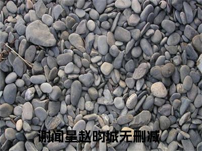 谢闻星赵昀城（谢闻星赵昀城）全文免费阅读无弹窗_（谢闻星赵昀城小说全文免费阅读）谢闻星赵昀城最新章节列表笔趣阁（谢闻星赵昀城）