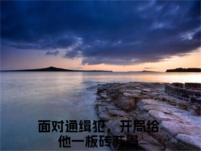 面对通缉犯，开局给他一板砖苏墨（面对通缉犯，开局给他一板砖苏墨无弹窗）全文免费阅读_（面对通缉犯，开局给他一板砖苏墨）面对通缉犯，开局给他一板砖苏墨最新章节列表_笔趣阁（面对通缉犯，开局给他一板砖苏墨）
