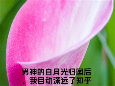 迟为简苏星蕴（男神的白月光归国后，我自动滚远了）全文免费阅读无弹窗大结局_迟为简苏星蕴最新章节列表_笔趣阁（男神的白月光归国后，我自动滚远了）