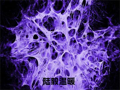 陆毅温暖最新更新热门榜单小说（陆毅温暖全集小说完整版笔趣阁）陆毅温暖全文阅读