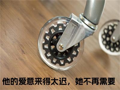 他的爱意来得太迟，她不再需要（明若汐周辞深）2023最火小说全文-（明若汐周辞深）他的爱意来得太迟，她不再需要小说完整版免费阅读