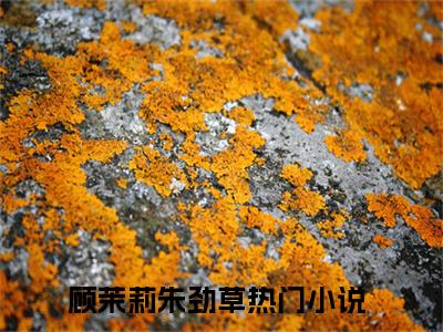 顾茉莉朱劲草（顾茉莉朱劲草）全文免费阅读无弹窗大结局_（顾茉莉朱劲草全文免费阅读无弹窗）顾茉莉朱劲草最新章节列表_笔趣阁（顾茉莉朱劲草）