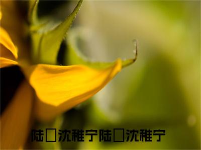 陆璟沈稚宁(陆璟沈稚宁)小说免费下载全本-陆璟沈稚宁（陆璟沈稚宁完整版）免费阅读大结局