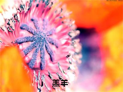 （绮绮霍绍庭）是什么小说-羔羊全文免费阅读无弹窗大结局（绮绮霍绍庭）最新章节列表