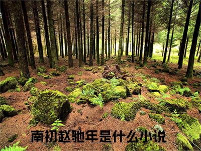 多人追的热门小说（南初赵驰年）-南初赵驰年小说最新章节免费阅读