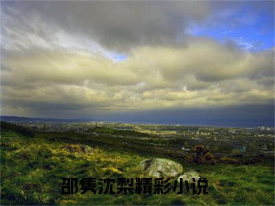 邵隽沈梨小说免费阅读-热点小说榜单推荐邵隽沈梨