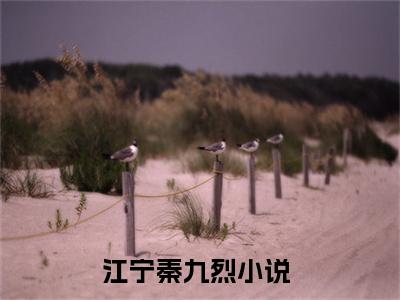 江宁秦九烈(江宁秦九烈)全文免费阅读无弹窗大结局_江宁秦九烈最新章节列表