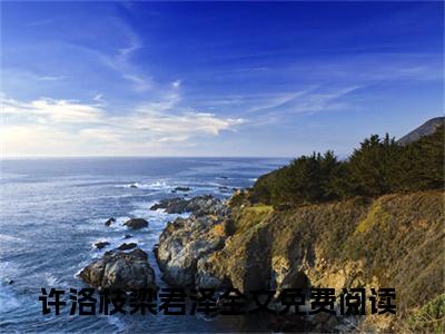 许洛枝梁君泽(两世的爱意终于烟消云散，释然无存)小说免费下载全本-许洛枝梁君泽（两世的爱意终于烟消云散，释然无存完整版）免费阅读