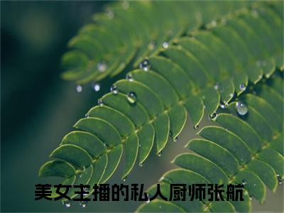 美女主播的私人厨师张航（美女主播的私人厨师张航）全文免费阅读无弹窗大结局_（美女主播的私人厨师张航全文）美女主播的私人厨师张航最新章节列表笔趣阁（美女主播的私人厨师张航）