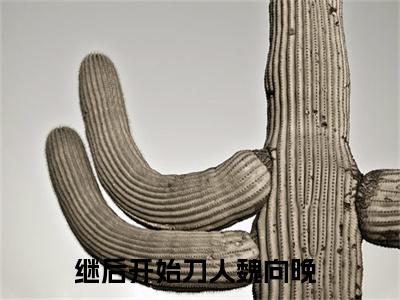 继后开始刀人魏向晚（继后开始刀人魏向晚）小说结局-继后开始刀人魏向晚全文无弹窗阅读