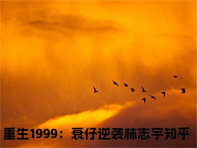 重生1999：衰仔逆袭林志宇小说免费阅读无弹窗《重生1999：衰仔逆袭林志宇》_重生1999：衰仔逆袭林志宇全文阅读