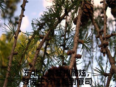 东北丫鬟狂拽酷炫，残废王爷惊艳到底司湉湉小说最新章节（东北丫鬟狂拽酷炫，残废王爷惊艳到底司湉湉）全文免费阅读无弹窗大结局_东北丫鬟狂拽酷炫，残废王爷惊艳到底司湉湉免费阅读（东北丫鬟狂拽酷炫，残废王爷惊艳到底司湉湉小说）
