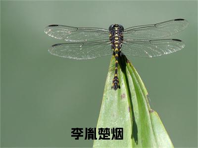 李胤楚烟小说（李胤楚烟）全文免费阅读无弹窗大结局_(李胤楚烟小说免费阅读)李胤楚烟小说最新章节列表_笔趣阁