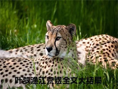 叶梦渔江梵煜（瓜王被读心后豪门和娱乐圈全乱套）全文免费阅读无弹窗大结局_（叶梦渔江梵煜）最新章节列表_笔趣阁（瓜王被读心后豪门和娱乐圈全乱套）