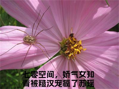 七零空间，娇气女知青被糙汉宠疯了苏瑶全文小说全章节阅读