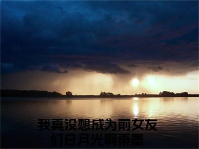 我真没想成为前女友们白月光啊秦墨小说全文免费阅读无弹窗大结局_（我真没想成为前女友们白月光啊秦墨免费阅读无弹窗）最新章节列表_笔趣阁
