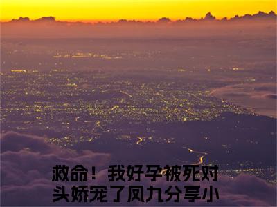救命！我好孕被死对头娇宠了凤九（救命！我好孕被死对头娇宠了凤九小说）全文免费阅读无弹窗大结局_(救命！我好孕被死对头娇宠了凤九小说免费阅读)最新章节列表