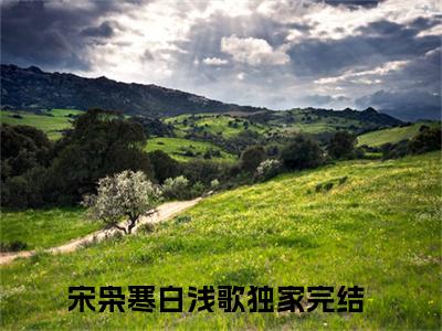 宋枭寒白浅歌在线全文免费阅读宋枭寒白浅歌是主角的小说