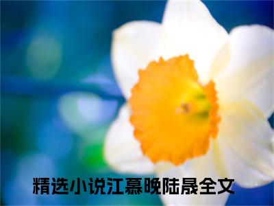 江慕晚陆晟无弹窗最新章节列表_笔趣阁