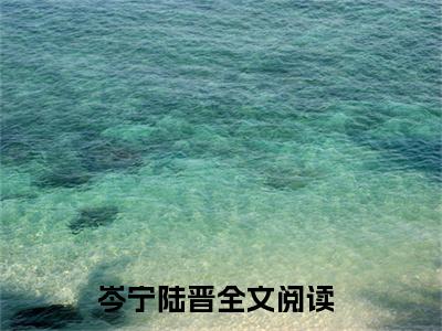 岑宁陆晋小说(岑宁陆晋)免费阅读无弹窗,小说名字是：岑宁陆晋的小说在线阅读无删减