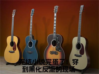 完蛋了！穿到黑化反派的现场小说免费阅读无弹窗,小说名字是：完蛋了！穿到黑化反派的现场的小说在线阅读无删减