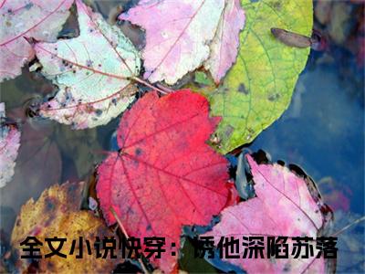 快穿：诱他深陷苏落最后结局 快穿：诱他深陷苏落完结版免费阅读