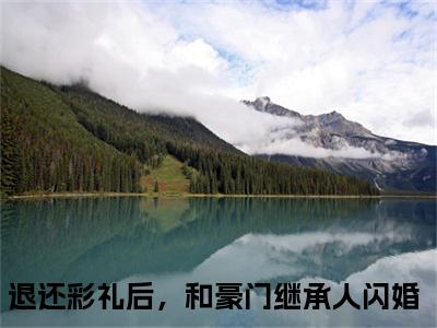 退还彩礼后，和豪门继承人闪婚（江亦舟陆知远）免费阅读无弹窗大结局-江亦舟陆知远完整版最新阅读