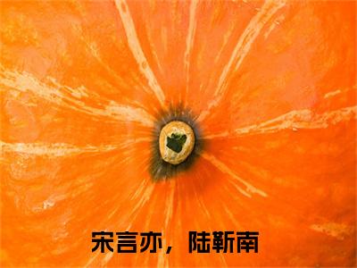 宋言亦，陆靳南小说（宋言亦，陆靳南）全文免费阅读无弹窗大结局-宋言亦，陆靳南最新热点小说