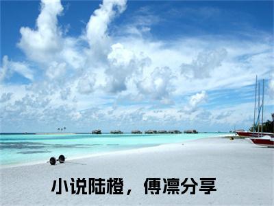 陆橙，傅凛(陆橙，傅凛)全文免费阅读无弹窗大结局_(陆橙，傅凛在线阅读)陆橙，傅凛最新章节列表笔趣阁（陆橙，傅凛）