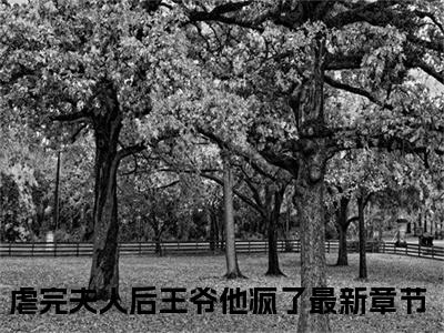 热门小说已完结虐完夫人后王爷他疯了小说无弹窗大结局_虐完夫人后王爷他疯了宋怜沈聿全文阅读大结局