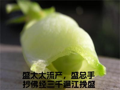 江挽盛连玦（盛太太流产，盛总手抄佛经三千遍）最新章节在线阅读-老书虫推荐江挽盛连玦小说