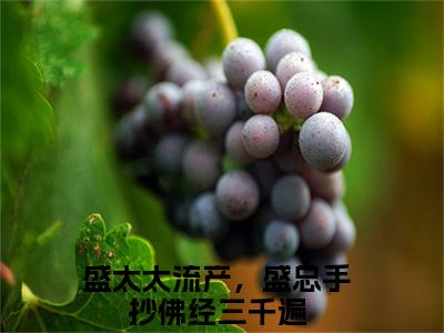 江挽盛连玦全集免费阅读无弹窗_盛太太流产，盛总手抄佛经三千遍完结小说榜单阅读（盛太太流产，盛总手抄佛经三千遍小说）