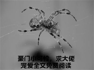 小说宋辞温如枳全文阅读无弹窗大结局_（豪门小可怜，求大佬宠爱）宋辞温如枳最新章节列表_笔趣阁