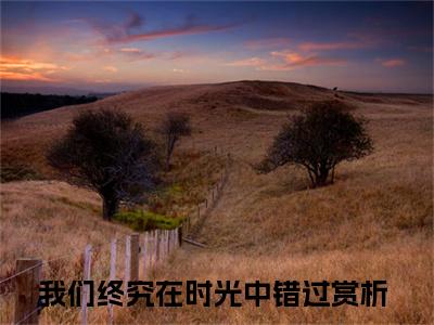 宋云词程言诺（我们终究在时光中错过）全文免费阅读无弹窗大结局_（宋云词程言诺免费阅读全文大结局）最新章节列表
