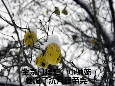 沈月息帝尧（全宗门摆烂，小师妹卷疯了）免费小说-沈月息帝尧小说完整版阅读